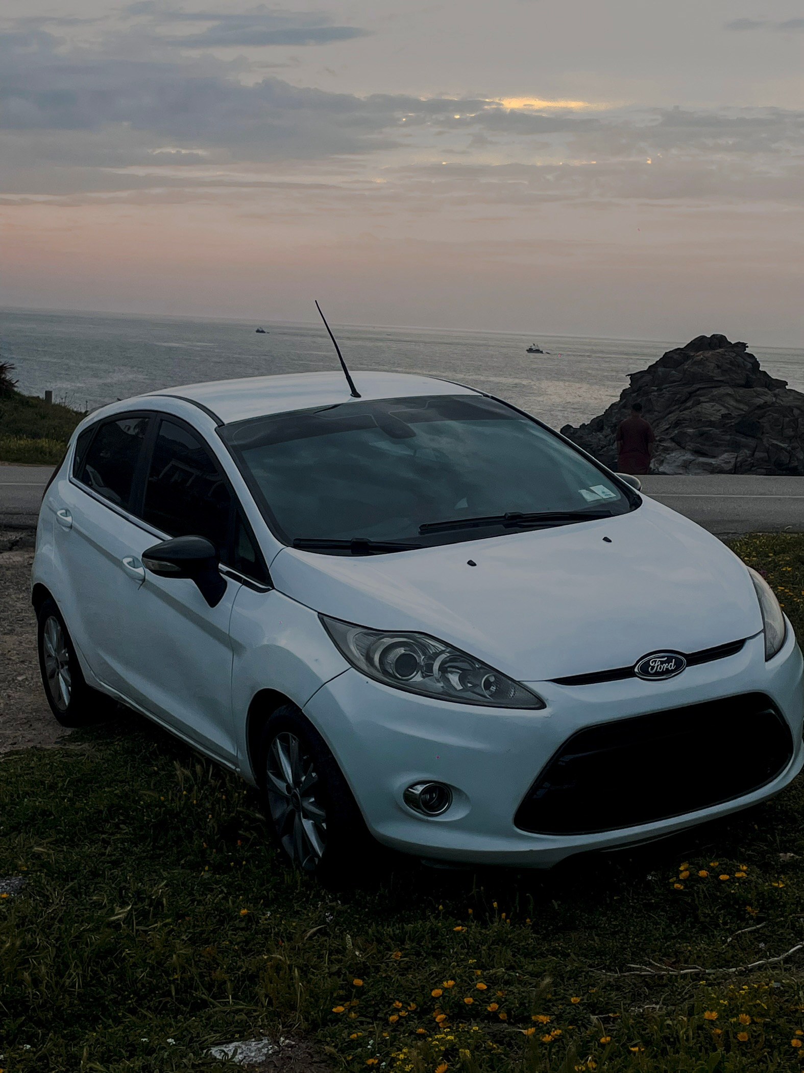Ford Fiesta 2011 – photo 1