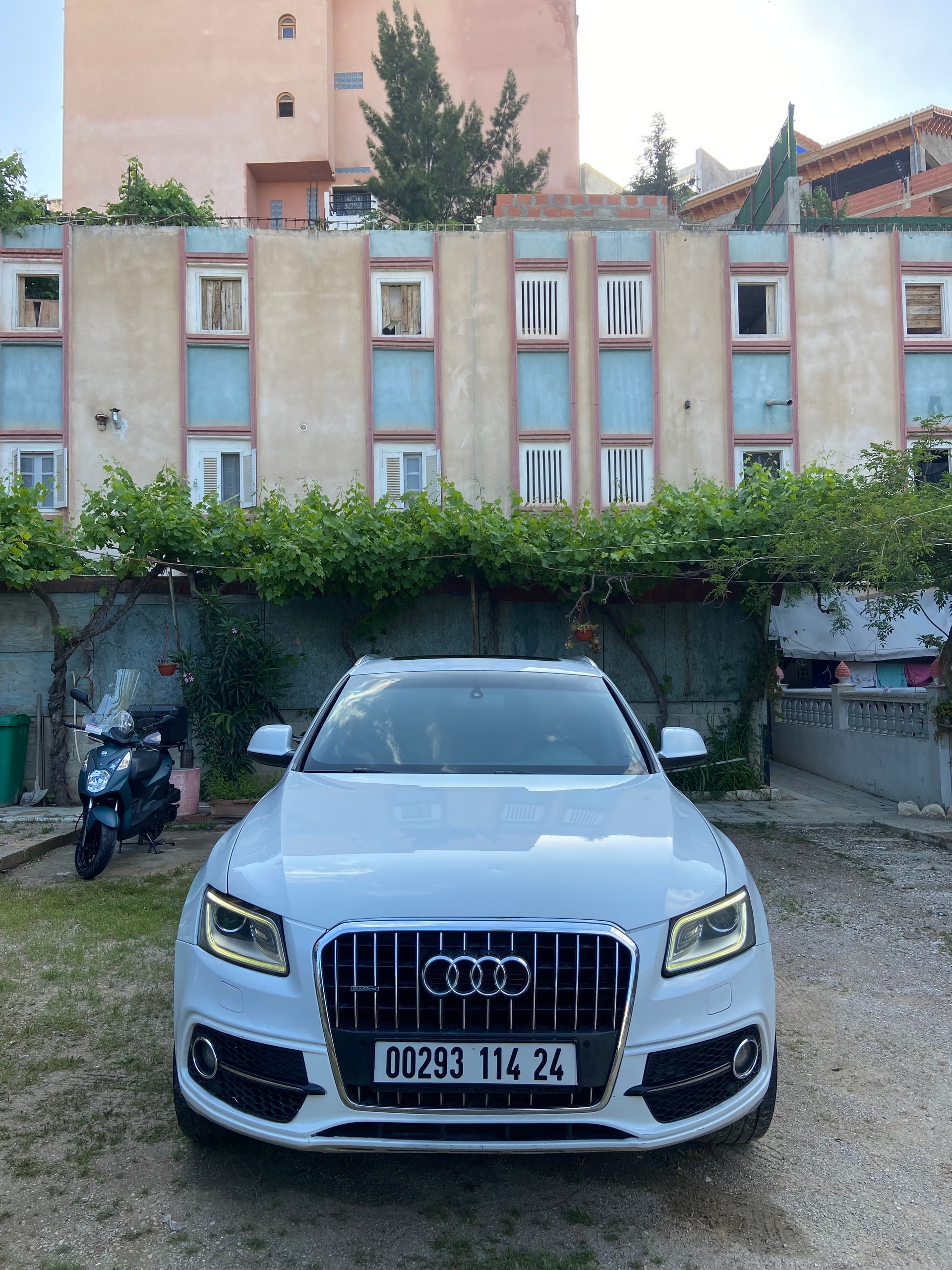 Autre Q5 2014 – photo 1