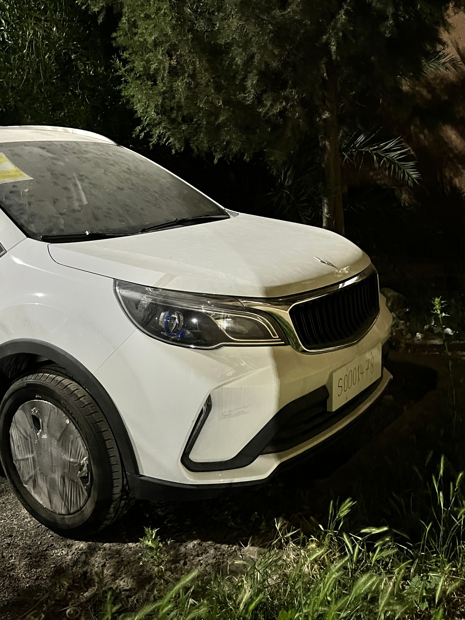 Geely Livan 2025 2025