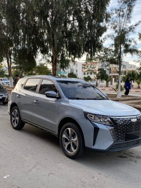 Geely x6 pro